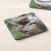 Dessous-de-verre Sloth Baby avec mère pendre d'un arbre (Côté gauche)