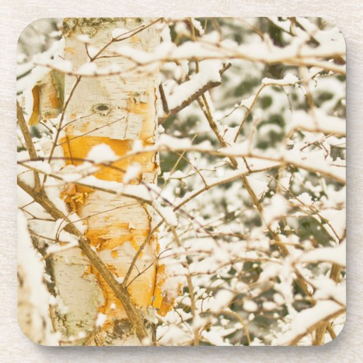 Dessous-de-verre Snowy Birch (Devant)