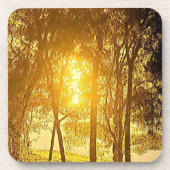 Dessous-de-verre Soleil et arbres (Devant)