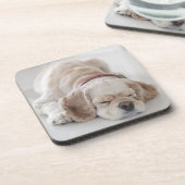 Dessous-de-verre Sommeil de chien de cocker (Côté gauche)