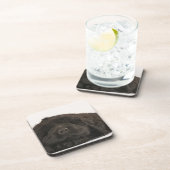 Dessous-de-verre Sommeil de chiot de Terre-Neuve (familiaris de (Côté Droit)