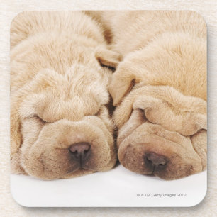 Dessous-de-verre Sommeil de deux chiots de Shar Pei