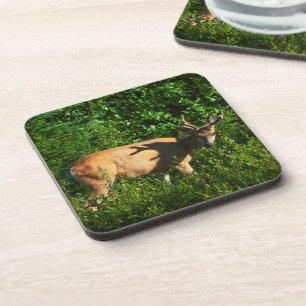 Dessous-de-verre Soyez sur votre chemin