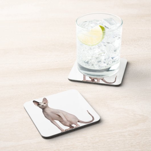 Dessous-de-verre Sphynx (13 mois) (Côté Droit)