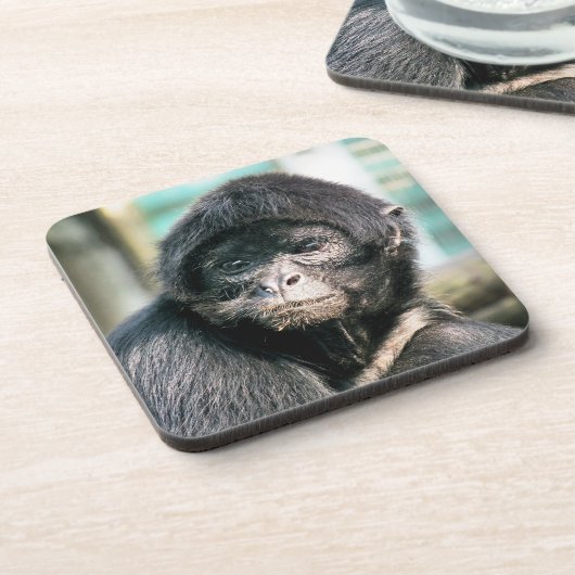 DESSOUS-DE-VERRE SPIDER MONKEY (Côté gauche)