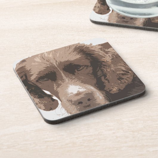 Dessous-de-verre Springer anglais (Côté gauche)