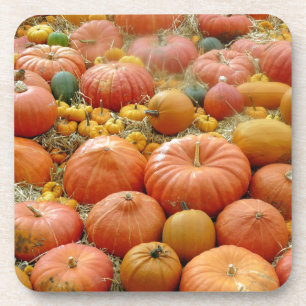 Dessous-de-verre Squash Galore