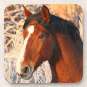 Dessous-de-verre Stallion Horse (Devant)