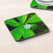 Dessous-de-verre Star Flower, un Fleur sauvage blanc Abstrait (Côté gauche)