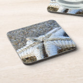 Dessous de verre Starfish (Côté gauche)