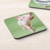 Dessous-de-verre Studio coupé d'une position de porcelet (Côté gauche)