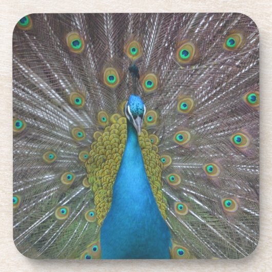 Dessous-de-verre Stunning (Devant)