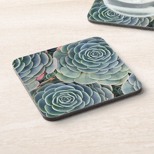 Dessous de verre succulents (Côté gauche)