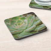 Dessous-de-verre Succulents (Côté gauche)