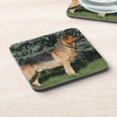 Dessous-de-verre Support d'exposition de berger allemand (Côté gauche)