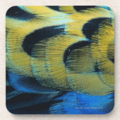 Dessous-de-verre Surface 4 de plume (Devant)