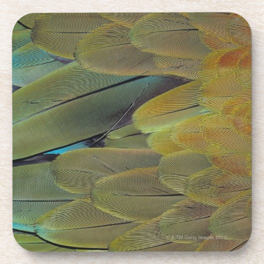 Dessous-de-verre Surface de plume (Devant)