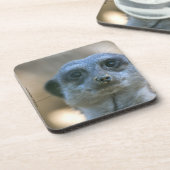 Dessous-de-verre Suricate drôle (Côté gauche)