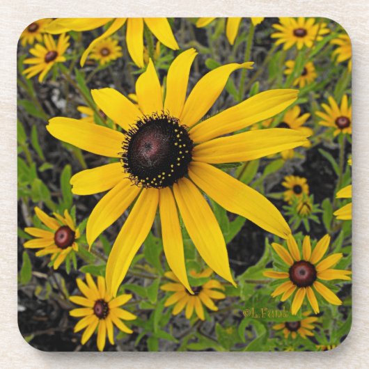 Dessous-de-verre Susans observé par noir (Devant)