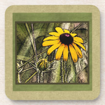 Susie observé par noir