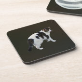 Dessous-de-verre Tabby Blanc Avec Patches Sombres (Côté gauche)