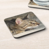 Dessous de verre Tabby Cat (Côté gauche)