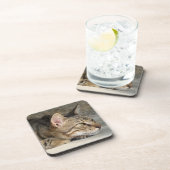 Dessous de verre Tabby Cat (Côté Droit)