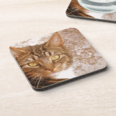 Dessous-de-verre Tabby Cat (Côté gauche)