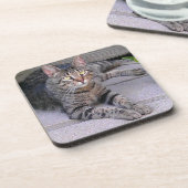 Dessous-de-verre Tabby Chat Brown à l'extérieur (Côté gauche)