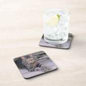 Dessous-de-verre Tabby Chat Brown à l'extérieur (Côté Droit)