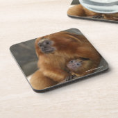 Dessous-de-verre Tamarin d'or de lion avec le bébé (Côté gauche)