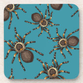 Dessous-de-verre Tarantula sur bleu (Devant)