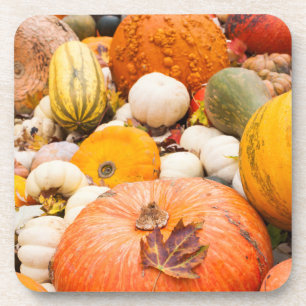 Dessous-de-verre Tas de citrouilles et de courges