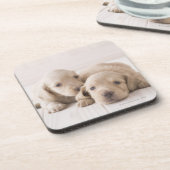 Dessous-de-verre Teckel de deux miniatures (Côté gauche)