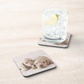 Dessous-de-verre Teckel de deux miniatures (Côté Droit)