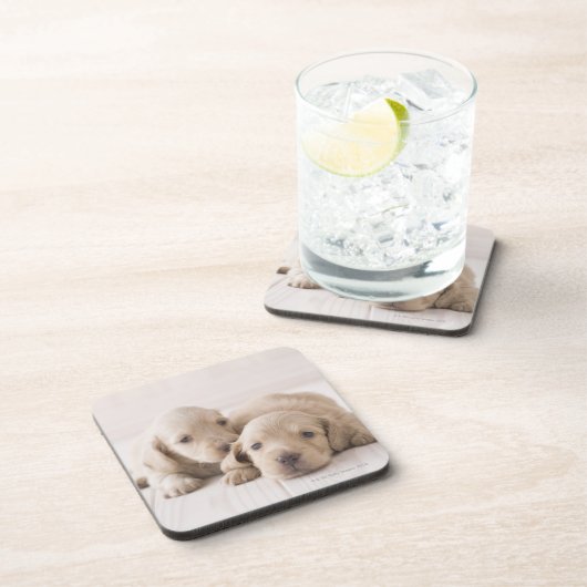 Dessous-de-verre Teckel de deux miniatures (Côté Droit)