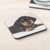 Dessous-de-verre Teckel miniature (Côté gauche)