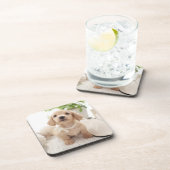 Dessous-de-verre Teckel miniature (Côté Droit)