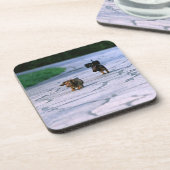 Dessous-de-verre Teckel miniature 3 (Côté gauche)