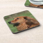 Dessous-de-verre Teckel miniature aux cheveux longs 2 (Côté gauche)