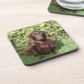 Dessous-de-verre Teckel miniature aux cheveux longs Brown (Côté gauche)