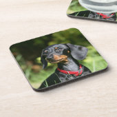 Dessous-de-verre teckel miniature Lisse-haired 3 (Côté gauche)