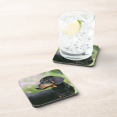 Dessous-de-verre Teckel noir et bronzage 2 de Miniture (Côté Droit)