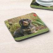 Dessous-de-verre Teckel standard à poils durs (Côté gauche)