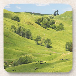 Dessous-de-verre Terres agricoles près de Gisborne, Nouvelle-Zéland