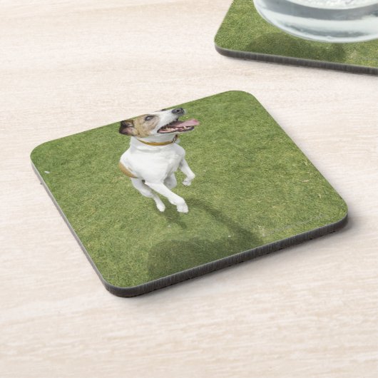 Dessous-de-verre Terrier de Jack Russell sautant, vue élevée (Côté gauche)
