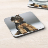 Dessous-de-verre Terrier de Yorkshire, plan rapproché (Côté gauche)