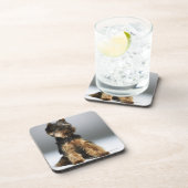 Dessous-de-verre Terrier de Yorkshire, plan rapproché (Côté Droit)