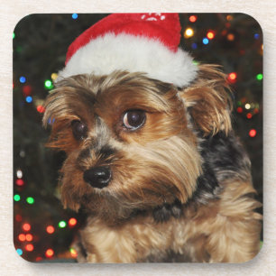 Dessous-de-verre Terrier du Petit Yorkshire avec Santa Hat
