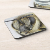 Dessous-de-verre Tête d'abeille (Côté gauche)